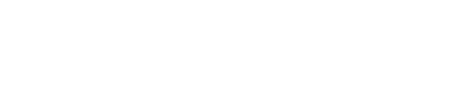 Subhankar Mondal